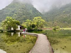 -靖西鹅泉风景区
