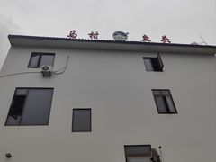 -马村鱼头