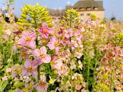 -中国天府农业博览园