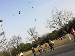 景点-青枫公园