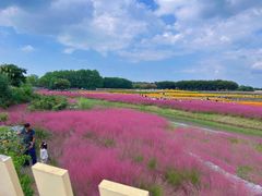 -江苏三台山国家森林公园
