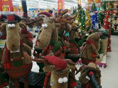 -沃尔玛购物广场(霖雨路店)