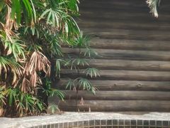 -龙达温泉生态城