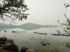 -长广溪湿地公园