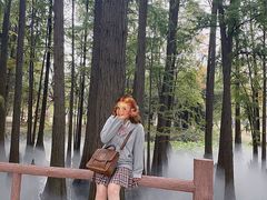 -东湖落雁景区