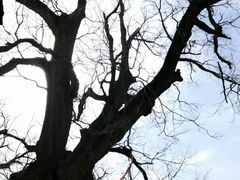 -康陵正德春饼宴26号