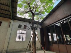 -来回·咖啡(钟村咖啡豆店)
