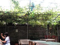 -伊隆斋(什刹海店)