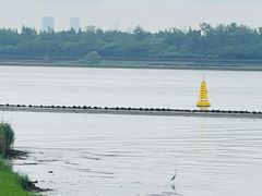 -吴淞炮台湾湿地森林公园烧烤区