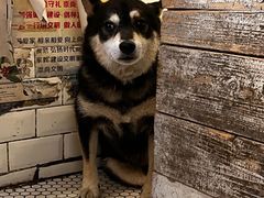 -大水的店(昙华林店)