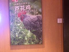 -俭寨大盘鸡·缸子肉·小公鸡·新疆菜(云通店)