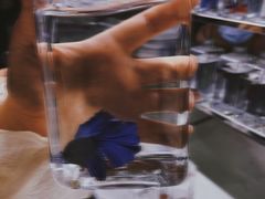 -华声天桥民俗文化园