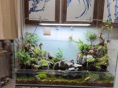 -木子陶艺(春熙路店)