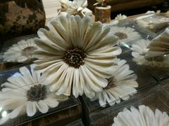 -L.C FLORA花予你(城西银泰城店)