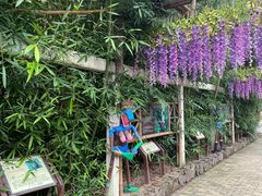 -呀路古热带植物园
