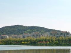 -羊山湖公园