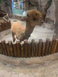 -宝燕乐园(闵行旗舰店)