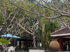 -碧水湾温泉