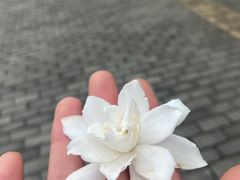 -美人万三·蚝大人生蚝小馆(昌里路店)
