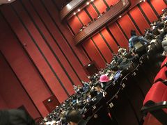 -合肥大剧院