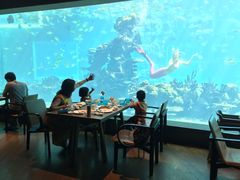 -海棠湾洲际-涛·海底餐厅·美人鱼·自助餐·海底隧道