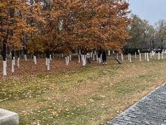 -长春世界雕塑园冰雪艺术天地