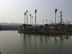 -枫香湖儿童公园