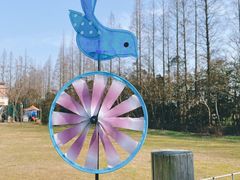 -前小桔亲子创意农场·草莓采摘·露营烧烤