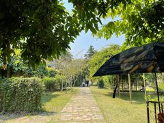 -中国科学院西双版纳热带植物园