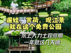 -上海滨江森林公园