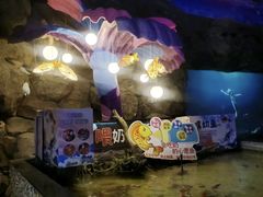 -烟台海昌鲸鲨海洋公园