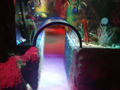 -沈阳海洋探索中心