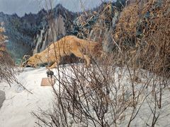 -陕西自然博物馆