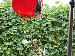 -姥家大锅台水库渔家