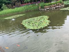 -天目湖山水园