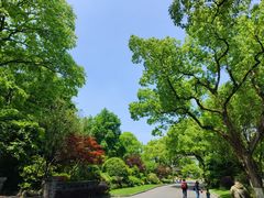 -浙江西子宾馆·瑶园咖啡厅