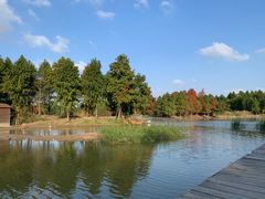-宁波杭州湾国家湿地公园