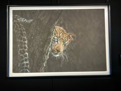 -罗红摄影艺术馆