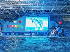 -蓬莱欧乐堡海洋极地世界