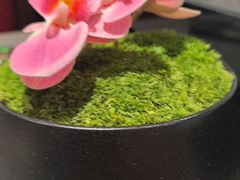 -四川饭店(城乡购物中心店)