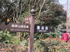 -九曜山