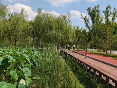 -永定河休闲森林公园