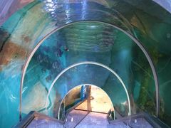 -瑞德姆美人鱼海底演艺主题餐厅(亚龙湾店)