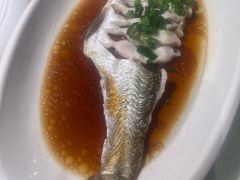 -金美华轩(东方路齐鲁店)