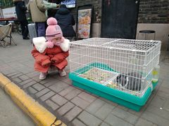 -大象厨房(重庆道店)