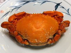 -悦景酒家(罗湖店)