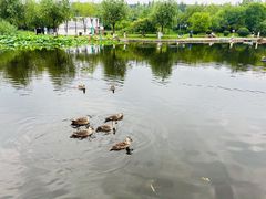 -前关湿地公园