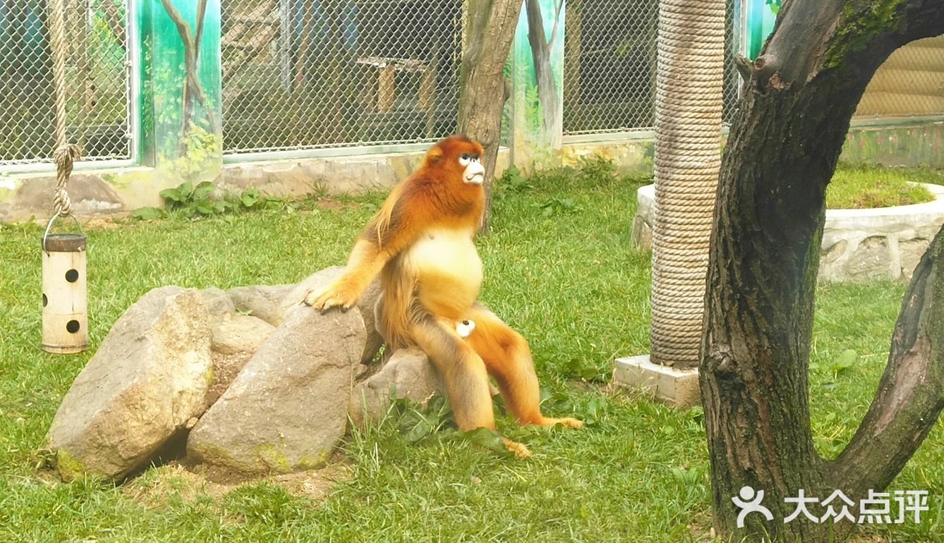 西安周边游