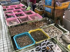 -大湾区中央湿地公园-十九涌