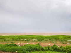 -南汇嘴观海公园